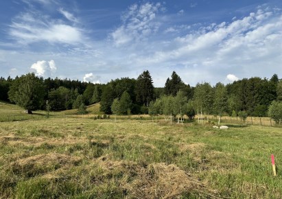 działka na sprzedaż - Jelenia Góra, Jagniątków